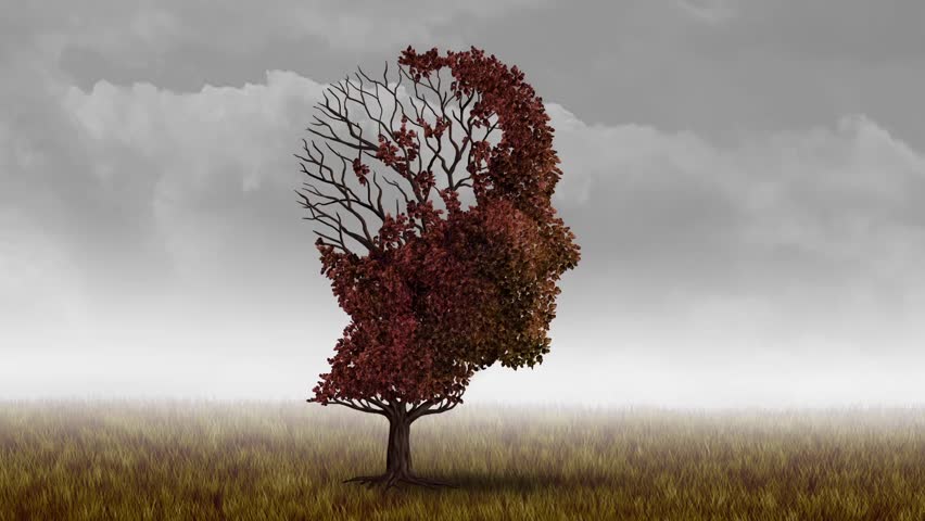 Header of neurology