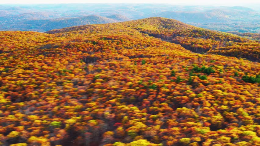 Header of Berkshire