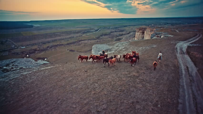 Header of wrangler