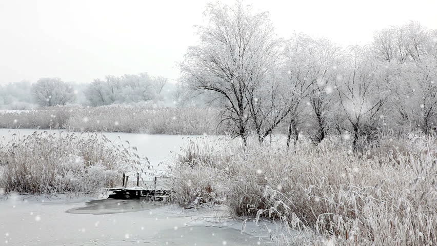 Farm Paddock Covered With Snow In Russian Countryside, Winter Landscape ...