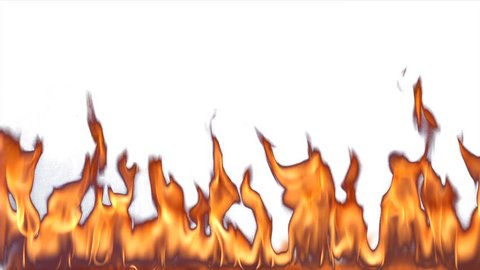 Fire Against White Background Tall Flames Stock Footage Video (100%  Royalty-free) 3476180 | Shutterstock