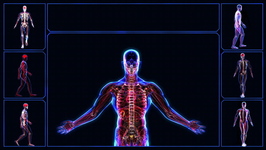 All human body systems