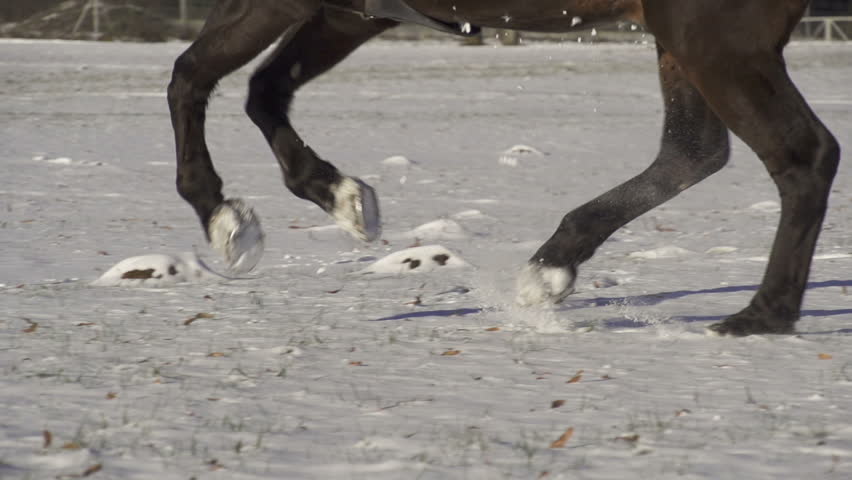Three Dimensional Rendering Illustration, Radiography Of A Human