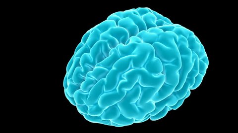 Blue Throbbing 3d Brain Animation Stock Footage Video (100% Royalty-free)  381040 | Shutterstock