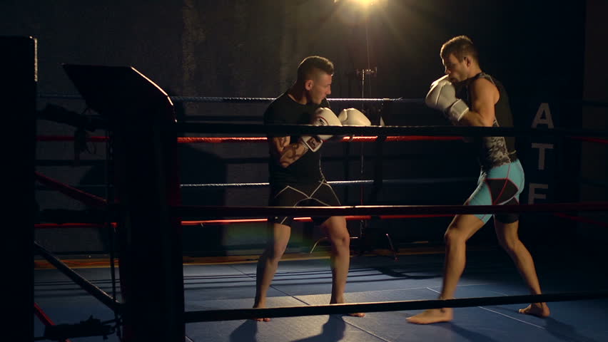 Stock Video Clip of Extreme Sport - Mixed Martial Arts Fighters