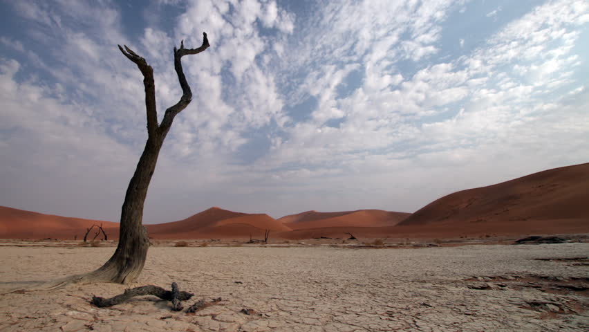 Header of dead