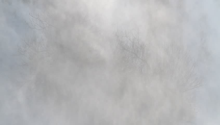 Water Mist Stock Footage Video (100% Royalty-free) 5514710 | Shutterstock