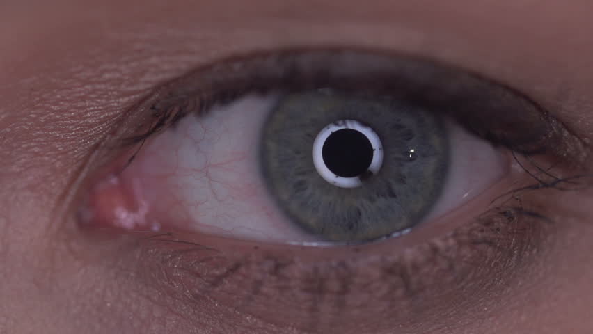 Eye - part of a human body.Slow motion blue eyes , close-up