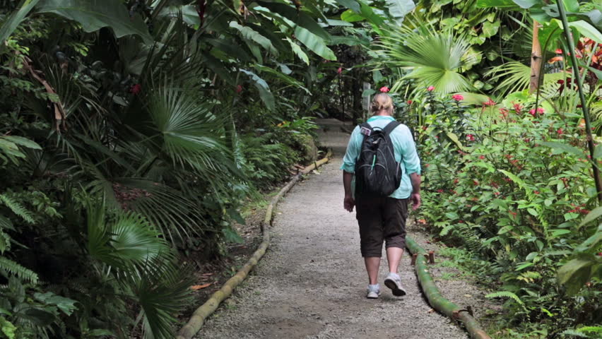 St Lucia Woman Walks Botanical Stockvideos Filmmaterial 100