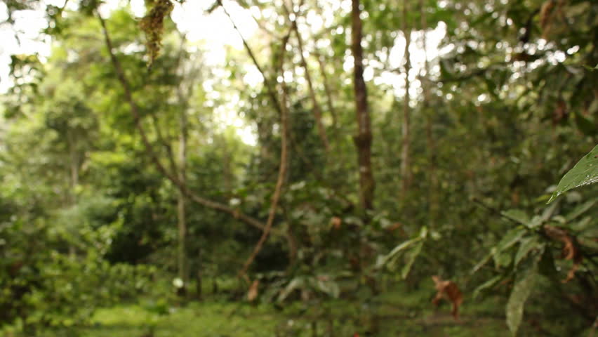 Header of dimethyl