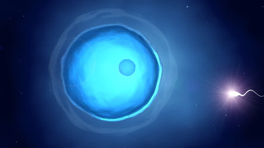 Header of chosen