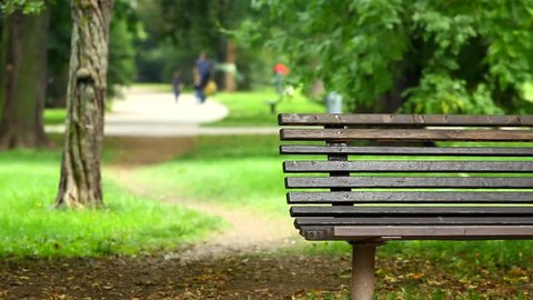 Empty Wooden Park Bench Late Summer Stock Footage Video (100% Royalty-free)  7472350 | Shutterstock