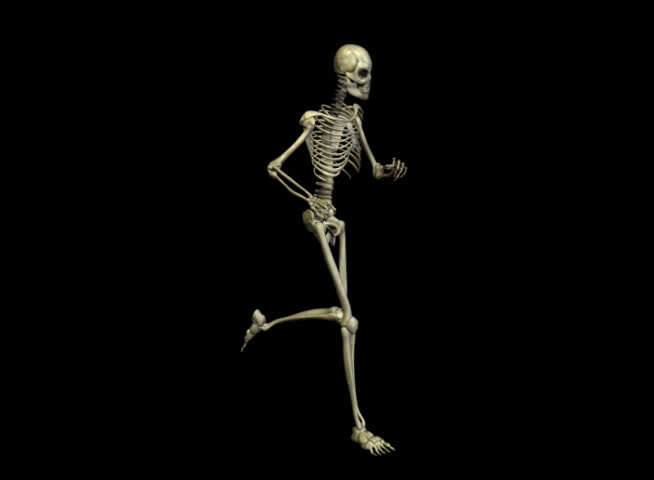 3D Rendering Illustration, Radiography Of A Human Skeleton Running ...