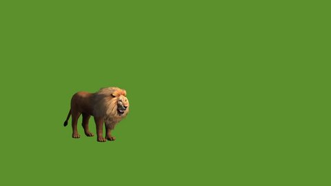 Lion Jump Attack Bite Eatingendangered Wild Stock Footage Video (100%  Royalty-free) 8746960 | Shutterstock