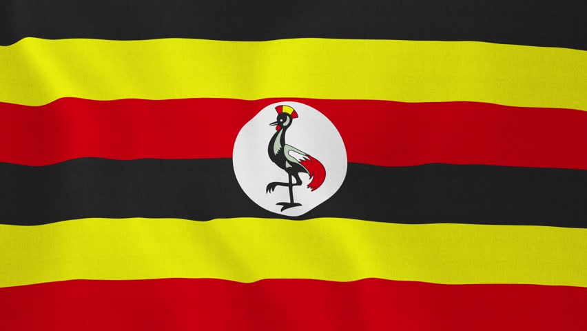 Uganda Close Up Waving Flag - HD Loop Stock Footage Video 1185202 ...