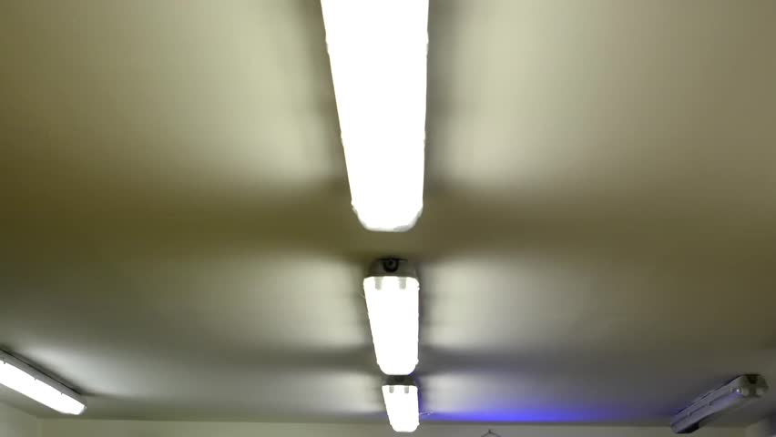 Suspended Ceiling Stock Footage 4k And Hd Clips Switch The Lights On Fluorescent Lamp Ceiling