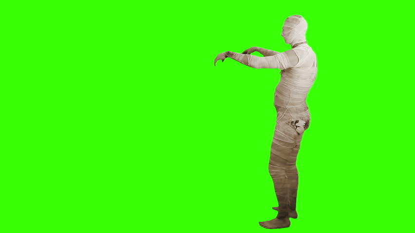 Header of mummy