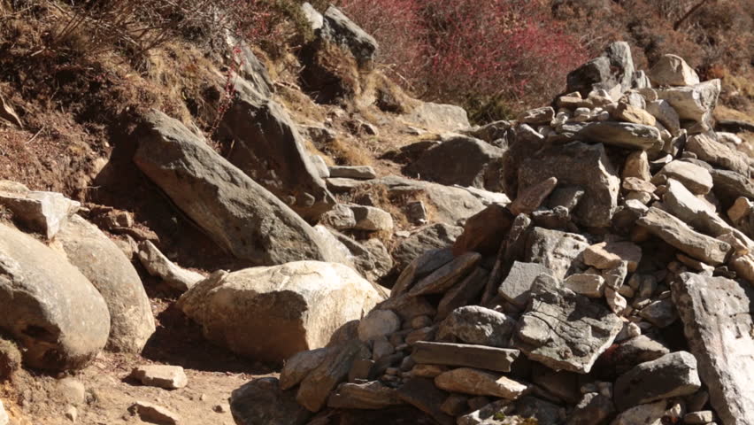 Header of Amenities